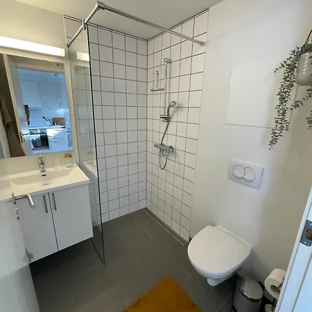 Apartment Central Lejlighed I C