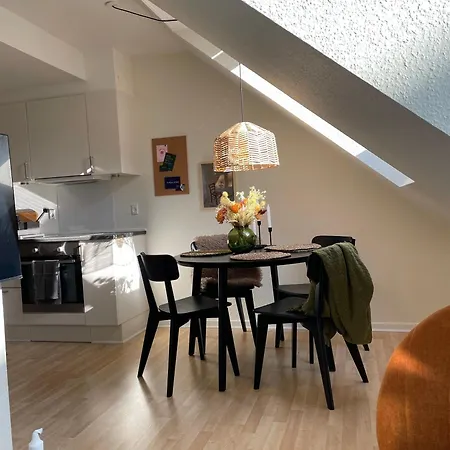 Central Lejlighed I C أودنسه